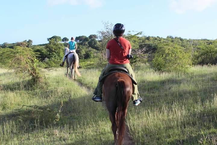 Horseback riding in the hills northwest of Esperanza