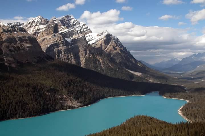 Peyto Lake in Banff National Park probably has the bluest water I've ever seen