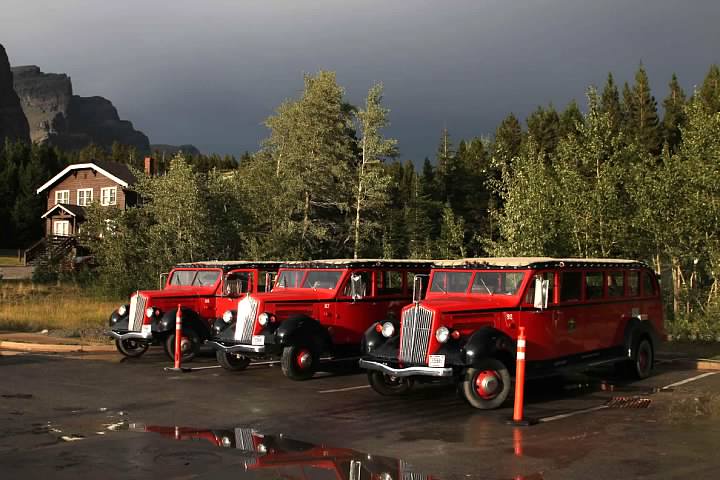 Red Jammer buses after a thunderstorm in Glacier National Park. Lowell Silverman photography, 2014