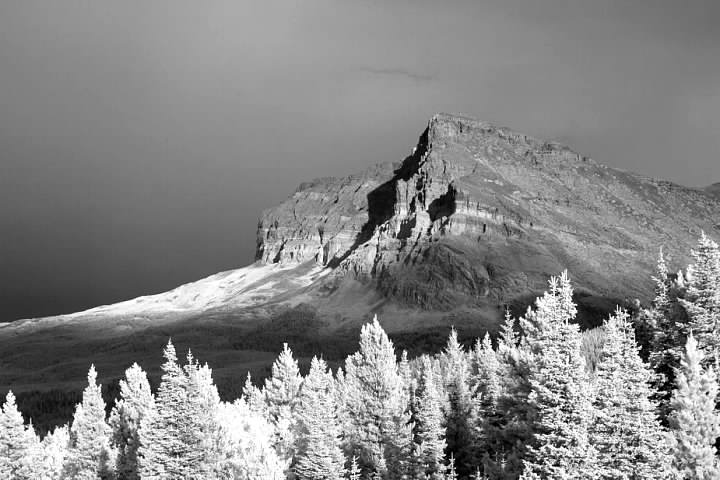Wynn Mountain in Glacier National Park in infrared