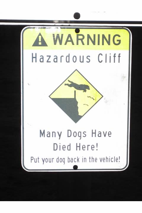 Saddest sign ever. I'm not even kidding. I especially like the birds flying by, mocking the ill-fated dog for its stupidity. I mean, couldn't they have just put an X over the silhouette of a dog? 