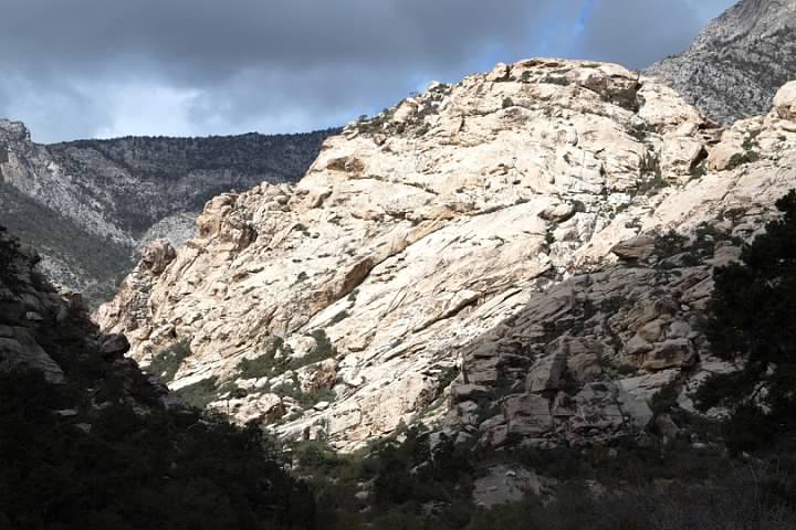 White in Red Rock