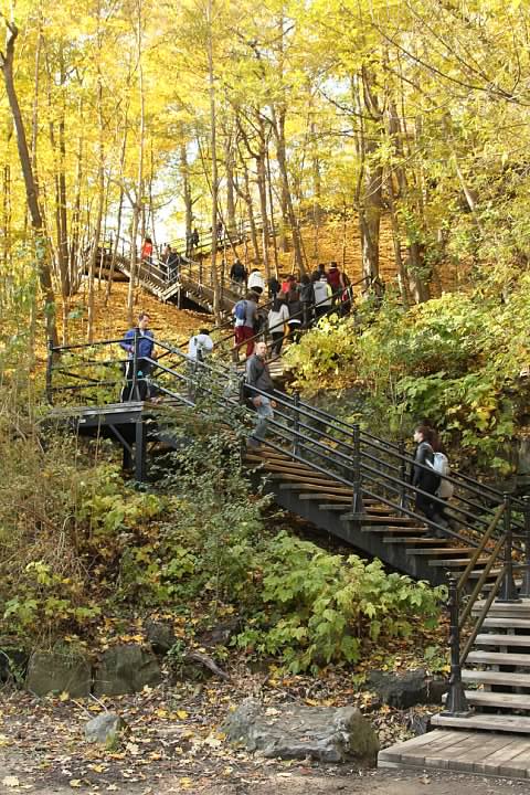 Staircases on Mont Royal