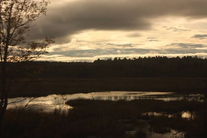 Lake in upstate New York seen from the train. Lowell Silverman photography, 2011