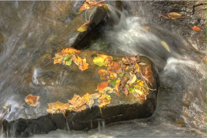 Leaves in White Clay Creek. Lowell Silverman photography, 1 October 2009. HDR