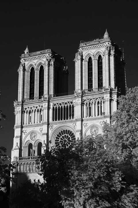 La cathédrale Notre-Dame de Paris (infrared)